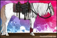 Horse Color:Chestnut Splash Tobiano Blanket