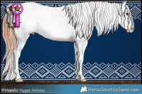 Horse Color:Black Splash Appaloosa 