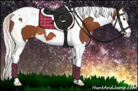 Horse Color:Silver Bay Splash Tobiano Appaloosa 