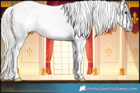 Horse Color:White Spotted Silver Black Splash Varnish 