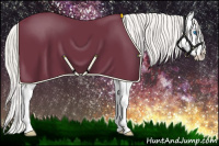 Horse Color:Silver Black Splash Appaloosa