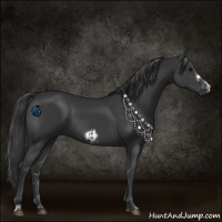 Horse Color:Black and Black Frame