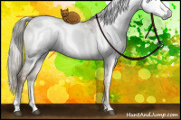 Horse Color:Gray White Spotted Liver Red Dun Pearl Mushroom Sabino Brindle 