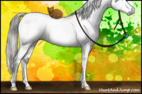 Horse Color:Gray White Spotted Brown Pearl Dun Mushroom Tobiano Rabicano Brindle 