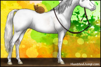 Horse Color:Gray White Spotted Liver Red Dun Pearl Mushroom Sabino Rabicano Brindle 