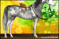 Horse Color:White Spotted Brown Dun Mushroom Sabino Splash Brindle 