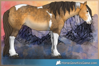 Horse Color:Buckskin Sabino Tobiano