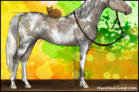 Horse Color:White Spotted Liver Red Dun Ice Mushroom Brindle 