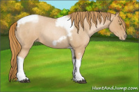Horse Color:Red Roan Pearl Tobiano Frame 
