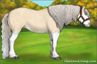 Horse Color:Silver Buckskin Roan Dun Splash