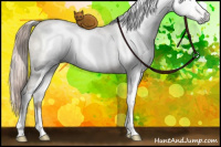 Horse Color:Gray White Spotted Chocolate Palomino Ice Pearl Dun 