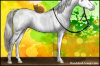 Horse Color:Gray White Spotted Buckskin Pearl Dun Brindle 