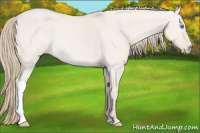 Horse Color:Smoky Creme Dun 