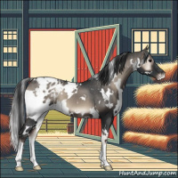 Horse Color:White Spotted Blue Onyx Appaloosa 