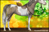 Horse Color:Liver Red Dun Mushroom Sabino Tobiano Brindle