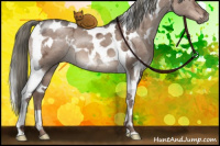 Horse Color:White Spotted Liver Red Dun Ice Mushroom Tobiano 