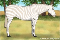 Horse Color:Smoky Creme