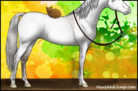 Horse Color:Gray White Spotted Brown Ice Pearl Dun