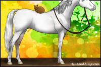 Horse Color:Gray White Spotted Silver Brown Ice Pearl Dun Sabino Rabicano
