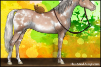 Horse Color:White Spotted Silver Brown Pearl 