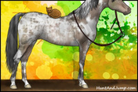 Horse Color:White Spotted Brown Ice Dun Rabicano 