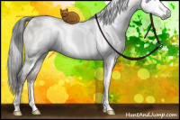Horse Color:Gray White Spotted Grullo Ice Pearl Mushroom Brindle 