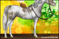 Horse Color:White Spotted Liver Red Dun Mushroom Tobiano Brindle 