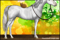 Horse Color:Gray White Spotted Liver Red Dun Ice Mushroom Tobiano Rabicano 