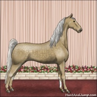 Horse Color:Silver Smoky Black 
