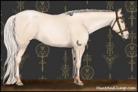 Horse Color:Silver Sable Cream Champagne Pearl