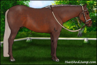 Horse Color:Chocolate Silver Brown Sabino 