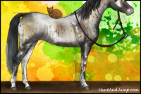 Horse Color:White Spotted Brown Onyx Sabino