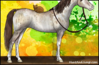 Horse Color:White Spotted Brown Pearl Onyx Mushroom Brindle