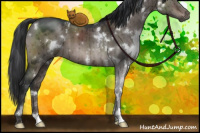 Horse Color:White Spotted Brown Dun Mushroom Brindle