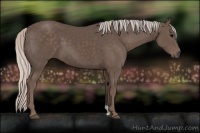 Horse Color:Silver Black 
