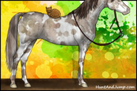 Horse Color:Liver Red Dun Ice Sabino Splash Tobiano Brindle