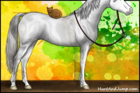 Horse Color:Gray White Spotted Brown Ice Pearl Dun Sabino Splash Brindle 