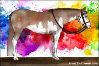 Horse Color:Liver Chestnut Splash 
