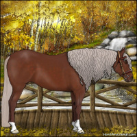 Horse Color:Chocolate Silver Brown 