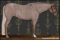 Horse Color:Chocolate Silver Blue Roan 