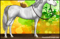Horse Color:Gray White Spotted Buckskin Ice Pearl Dun Mushroom 