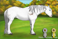 Horse Color:Bay Sabino Splash Near Leopard  and Bay Sabino Splash Near Leopard Rabicano 