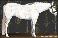Horse Color:Chocolate Buckskin Leopard