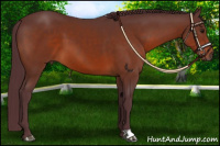 Horse Color:Chocolate Brown 