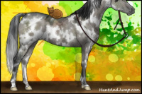 Horse Color:White Spotted Grullo Ice Mushroom Brindle 
