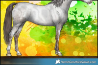 Horse Color:White Spotted Liver Red Dun Sabino Brindle 