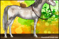 Horse Color:White Spotted Liver Red Dun Ice Onyx Mushroom Sabino 