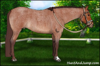 Horse Color:Chocolate Bay Roan