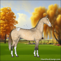 Horse Color:Buckskin Dun Splash Appaloosa