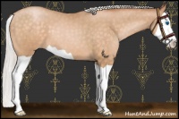 Horse Color:Silver Buckskin Pearl Splash